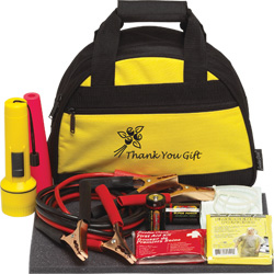 Bee Safe car emergency kit