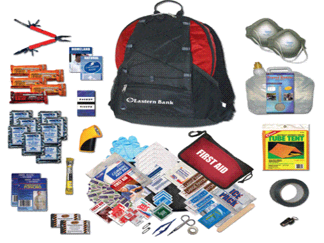 Disaster Survival Back Pack