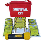 Economy Commuter emergency Kit