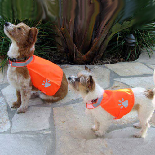 Pet Safety Vest (Case of 6)