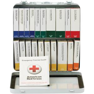 50-Person, 24-Unit ANSI A+ Weatherproof First Aid Kit, Plastic