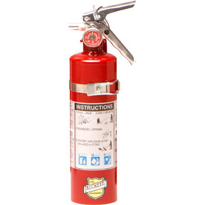 Buckeye 2.5 lb ABC Extinguisher w/ Aluminum Valve & Vehicle Bracket