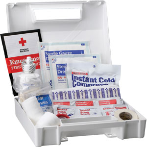 25-Person ANSI Bulk First Aid Kit, (Plastic)