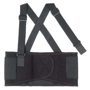 ProFlex 1650 Economy Back Support, L