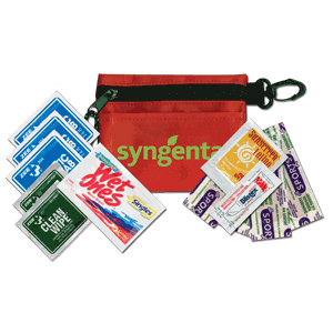 Small Outdoor First Aid Kit