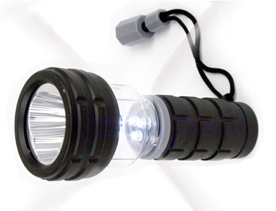 Dual Function LED Light